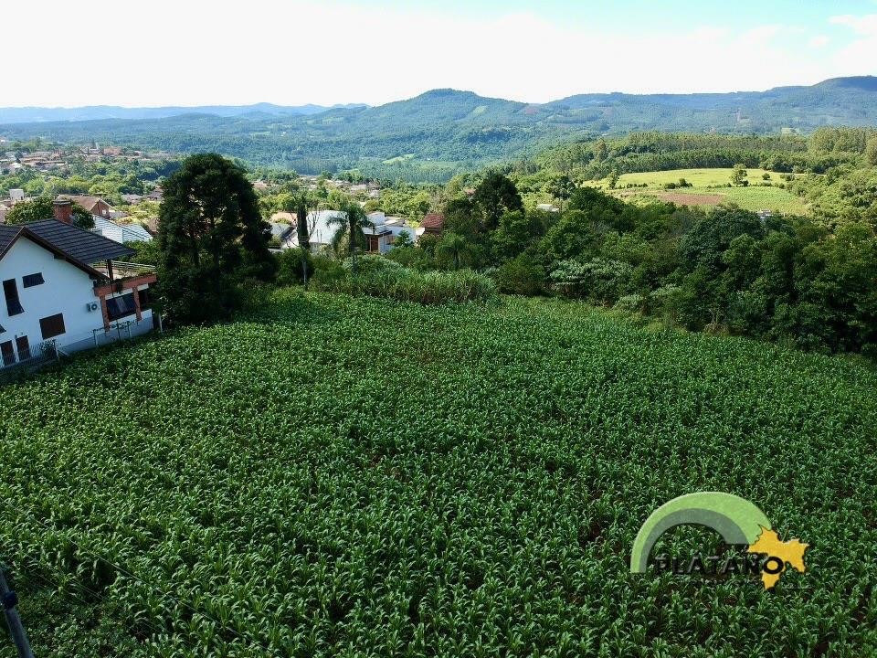 Terreno para Venda no Jardim do Alto em Ivoti