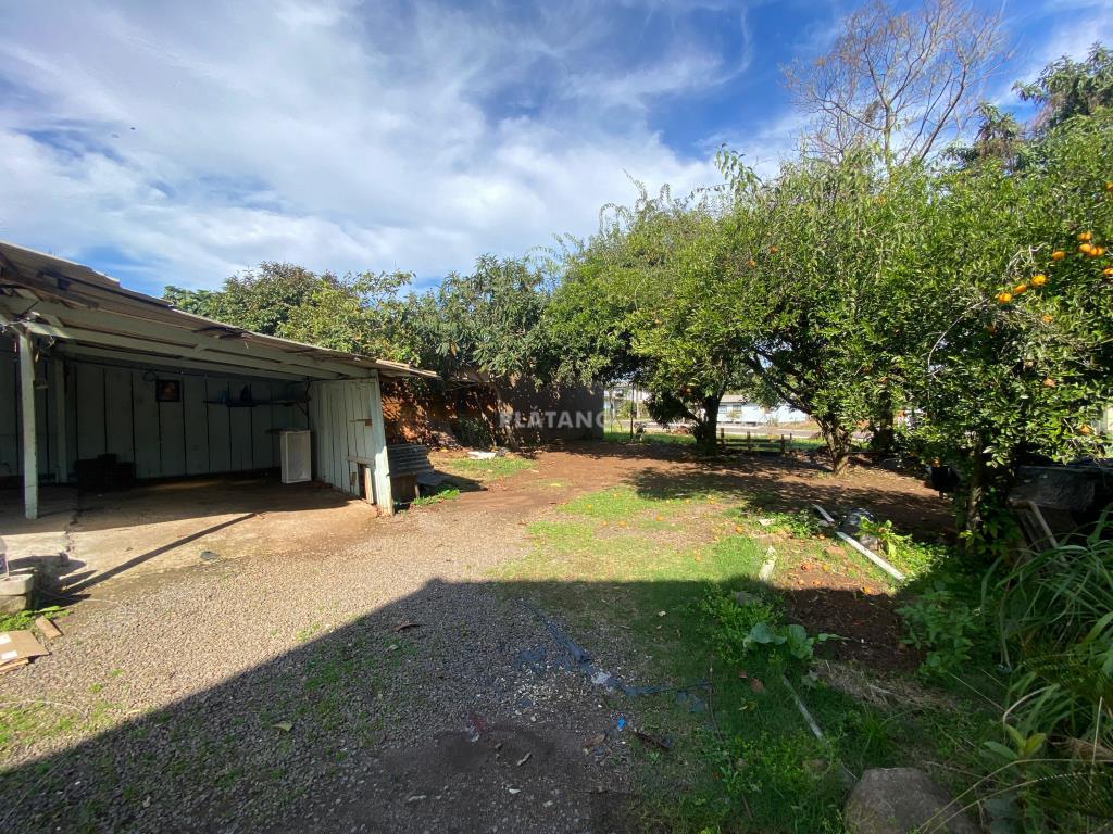 Casa para Locação no Jardim Panorâmico em Ivoti - foto 4