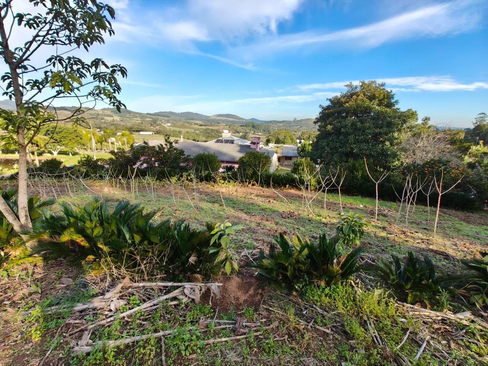 CHÁCARA / SÍTIO COM 3 DORMITÓRIOS, 1 VAGA, 100M² ÁREA PRIVATIVA para venda EM CAPELA DO ROSÁRIO - foto 3